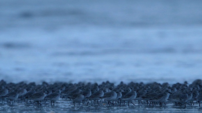 Facing the waves