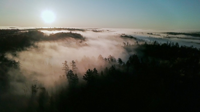 Morning flight
