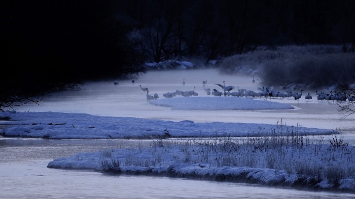 Kushiro marsh