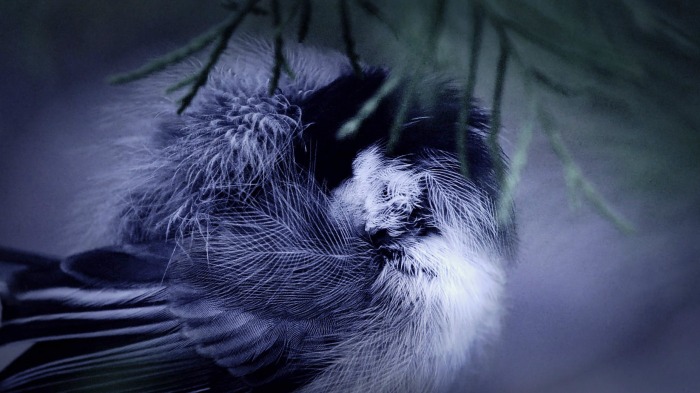Asleep