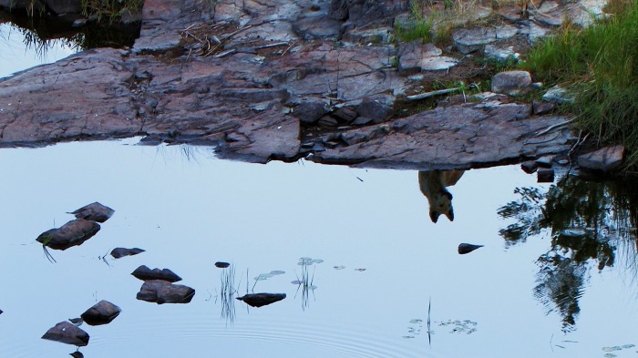 Reflections