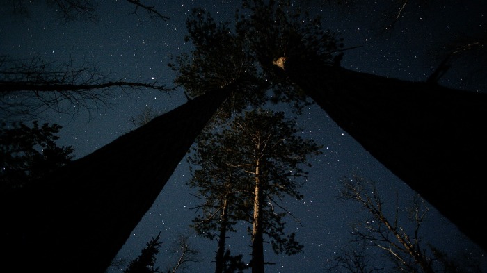 Under the stars