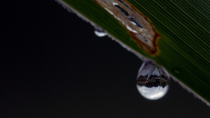 A world in a drop