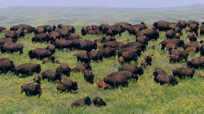 Preparing for battle