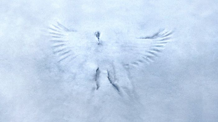 Snow angel