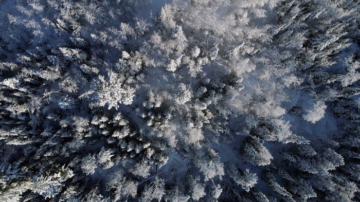 Over the Northwoods