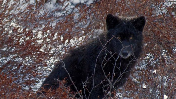 Seeing and being seen