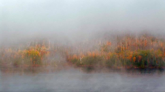 Wilderness fog