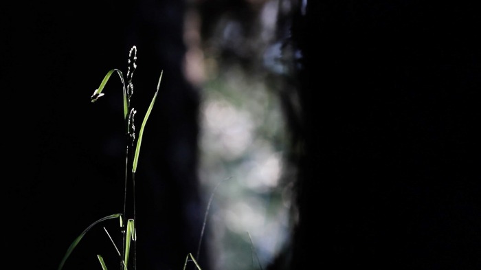 Along a path