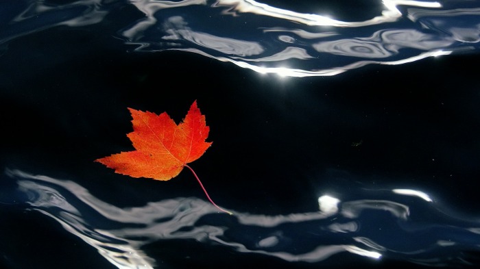 Red colors