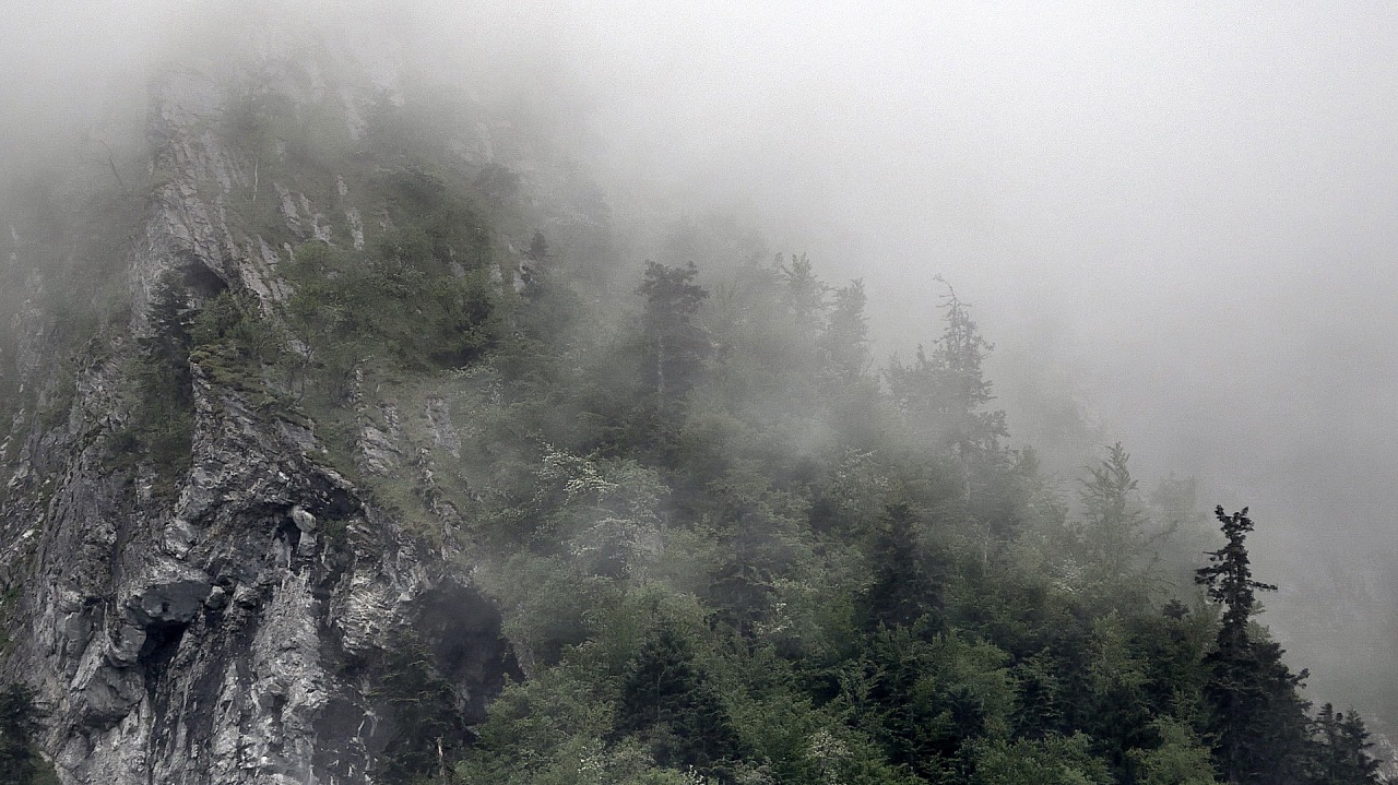 Nature 365 - Veils of mist - 2024-08-03